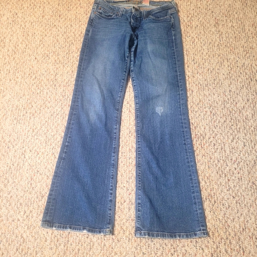 SWITCH USA 11 Embroidered Stitches Distressed Boho Hippie Denim Jeans 29